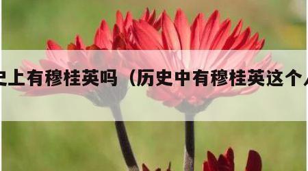 历史上有穆桂英吗（历史中有穆桂英这个人物吗）