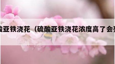硫酸亚铁浇花（硫酸亚铁浇花浓度高了会死吗）