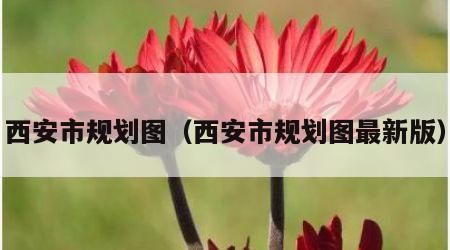 西安市规划图（西安市规划图最新版）