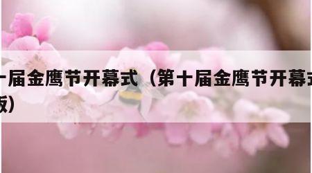 第十届金鹰节开幕式（第十届金鹰节开幕式完整版）