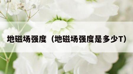 地磁场强度（地磁场强度是多少T）