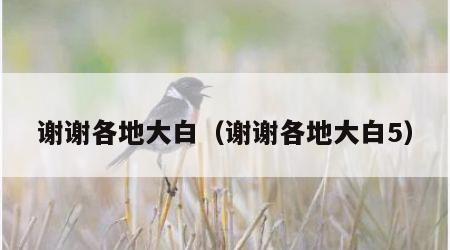 谢谢各地大白（谢谢各地大白5）