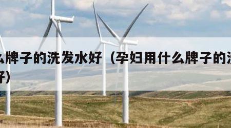 什么牌子的洗发水好（孕妇用什么牌子的洗发水好）