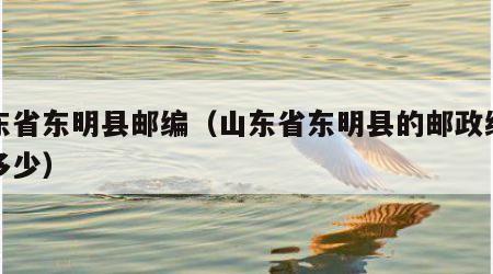 山东省东明县邮编（山东省东明县的邮政编码是多少）