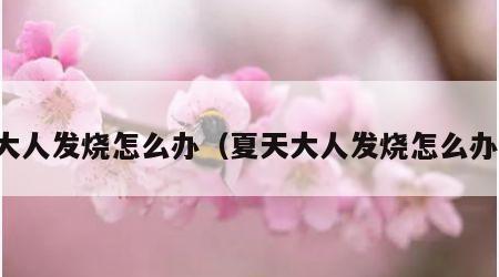 大人发烧怎么办（夏天大人发烧怎么办）