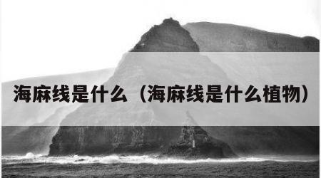 海麻线是什么（海麻线是什么植物）