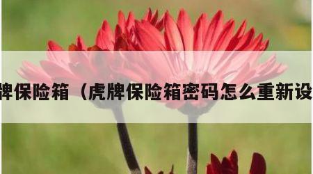 虎牌保险箱（虎牌保险箱密码怎么重新设置）