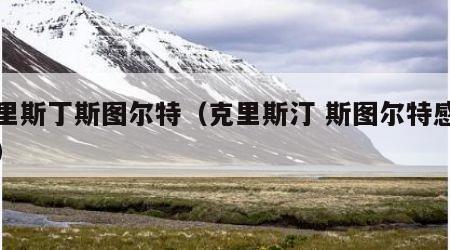 克里斯丁斯图尔特（克里斯汀 斯图尔特感情史）