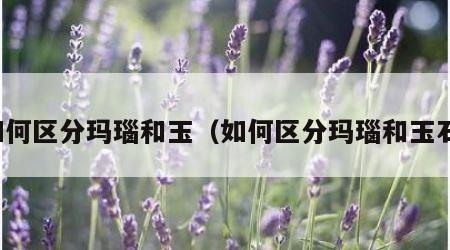 如何区分玛瑙和玉（如何区分玛瑙和玉石）