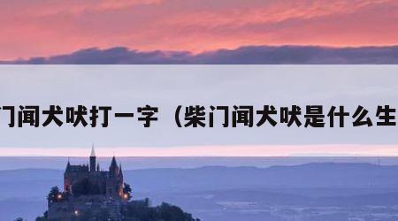 柴门闻犬吠打一字（柴门闻犬吠是什么生肖）