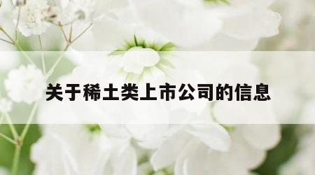 关于稀土类上市公司的信息