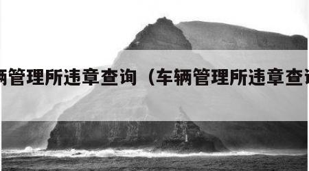 车辆管理所违章查询（车辆管理所违章查询电话）