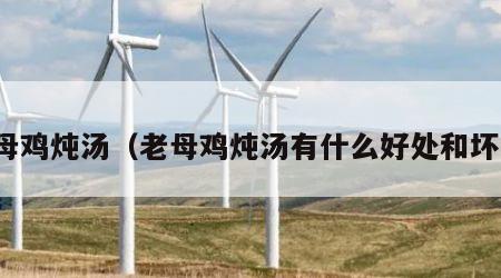 老母鸡炖汤（老母鸡炖汤有什么好处和坏处）