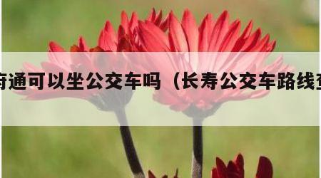 天府通可以坐公交车吗（长寿公交车路线查询）