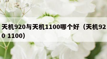 天机920与天机1100哪个好（天机920 1100）