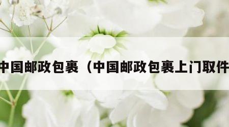 中国邮政包裹（中国邮政包裹上门取件）