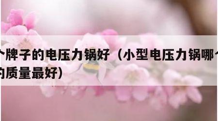 哪个牌子的电压力锅好（小型电压力锅哪个品牌的质量最好）