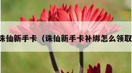 诛仙新手卡（诛仙新手卡补绑怎么领取）