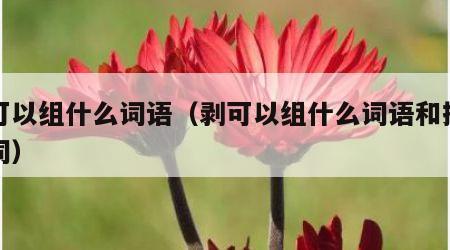 剥可以组什么词语（剥可以组什么词语和拼音组词）