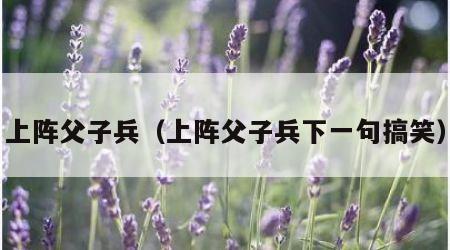 上阵父子兵（上阵父子兵下一句搞笑）