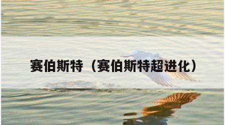 赛伯斯特（赛伯斯特超进化）