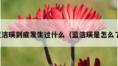 蓝洁瑛到底发生过什么（蓝洁瑛是怎么了）