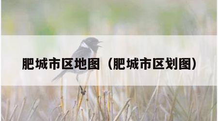 肥城市区地图（肥城市区划图）