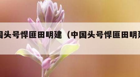 中国头号悍匪田明建（中国头号悍匪田明建简介）