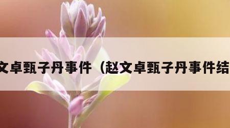 赵文卓甄子丹事件（赵文卓甄子丹事件结局）