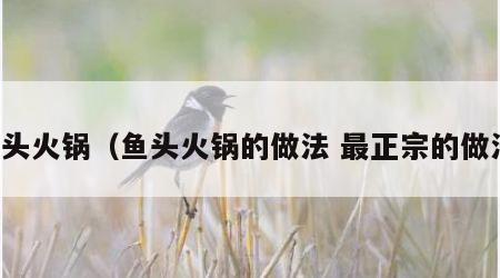 鱼头火锅（鱼头火锅的做法 最正宗的做法）