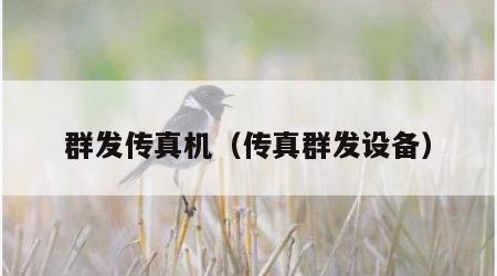 群发传真机（传真群发设备）