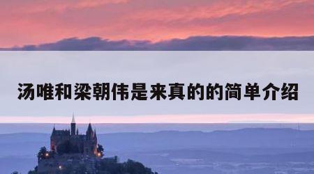汤唯和梁朝伟是来真的的简单介绍
