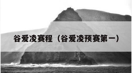 谷爱凌赛程（谷爱凌预赛第一）