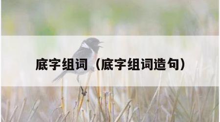 底字组词（底字组词造句）