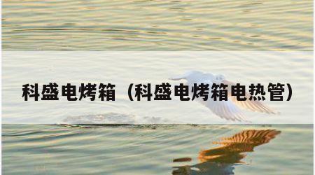 科盛电烤箱（科盛电烤箱电热管）