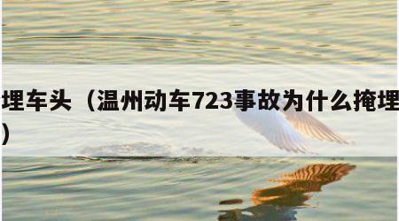 掩埋车头（温州动车723事故为什么掩埋车头）