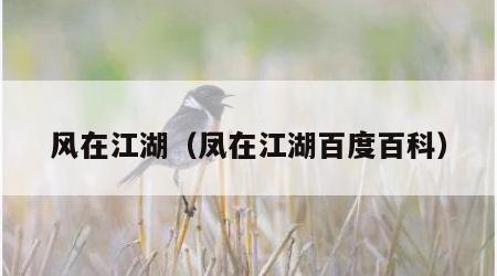 风在江湖（凤在江湖百度百科）