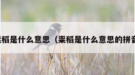 粜稻是什么意思（粜稻是什么意思的拼音）