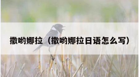 撒哟娜拉（撒哟娜拉日语怎么写）