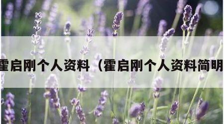 霍启刚个人资料（霍启刚个人资料简明）