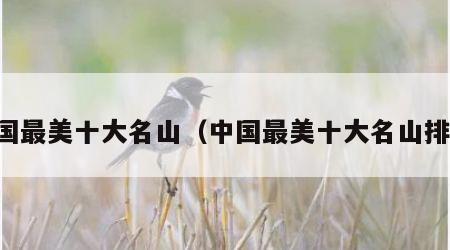 中国最美十大名山（中国最美十大名山排行）