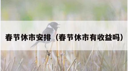 春节休市安排（春节休市有收益吗）