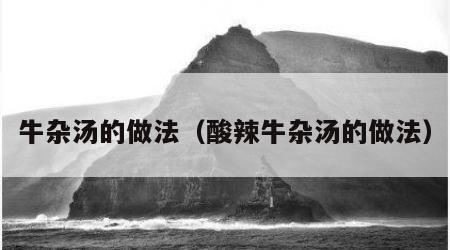 牛杂汤的做法（酸辣牛杂汤的做法）