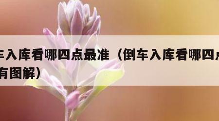 倒车入库看哪四点最准（倒车入库看哪四点最准 有图解）