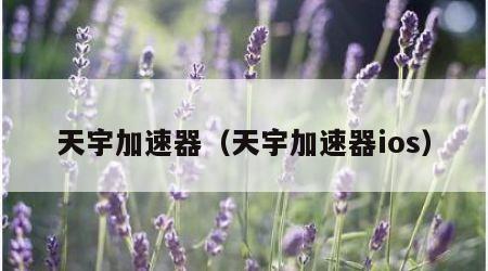 天宇加速器（天宇加速器ios）