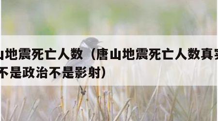 唐山地震死亡人数（唐山地震死亡人数真实数据,不是政治不是影射）