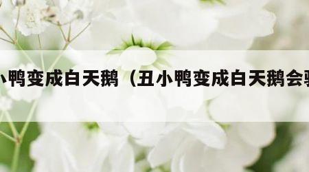 丑小鸭变成白天鹅（丑小鸭变成白天鹅会骄傲吗）