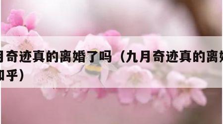 九月奇迹真的离婚了吗（九月奇迹真的离婚了吗知乎）