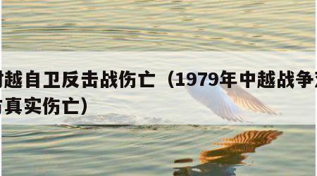 对越自卫反击战伤亡（1979年中越战争双方真实伤亡）
