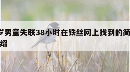 1岁男童失联38小时在铁丝网上找到的简单介绍